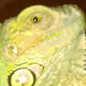 Meet your Posher, Doug